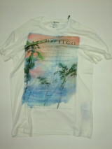 GAS T-SHIRTS Thema.SG03 Item.T-SHIRTS M/C Style No.542725 Material No.182031 STYLE NAME.SCUBA/S ARCHIPELGO Color.0745 OFF WHITE